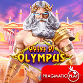 Cổng Olympus C54622 game